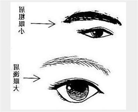 剃眉毛 面相